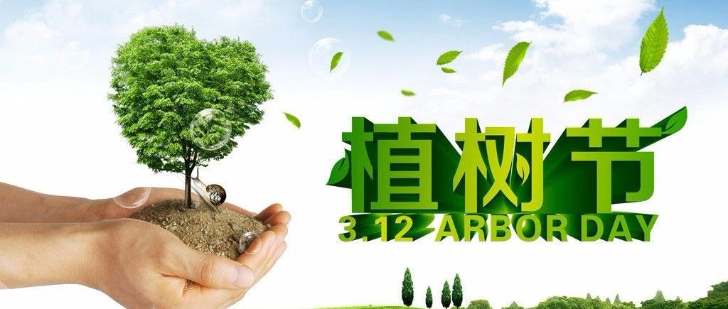 植樹(shù)節(jié) | 每一顆樹(shù)，都是用心種下的希望