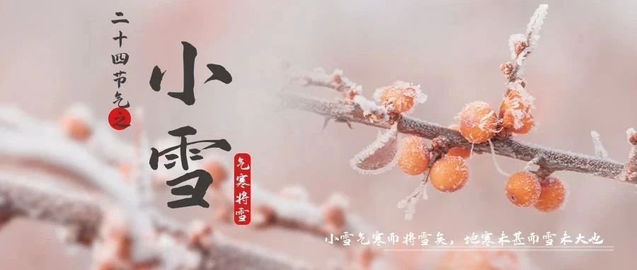 今日，小雪！